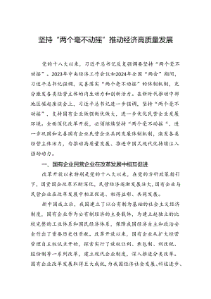 坚持“两个毫不动摇” 推动经济高质量发展.docx