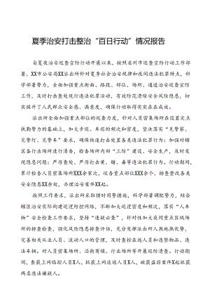 派出所2024公安夏季治安打击整治行动情况报告8篇.docx