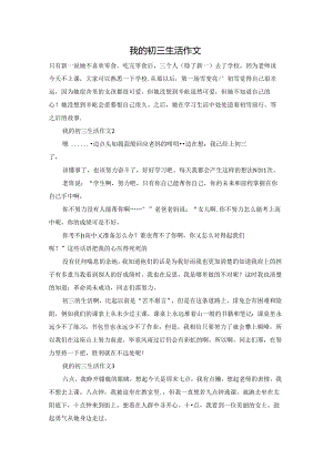 我的初三生活作文.docx