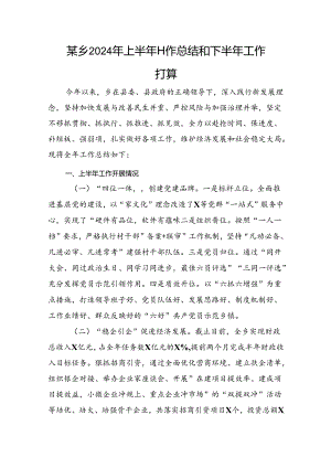 某乡2024年上半年工作总结和下半年工作打算.docx