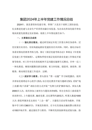 集团2024年上半年党建工作情况总结.docx
