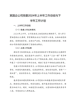某国企公司党委2024年上半年工作总结与下半年工作计划.docx