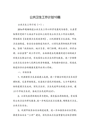 公共卫生工作计划10篇.docx