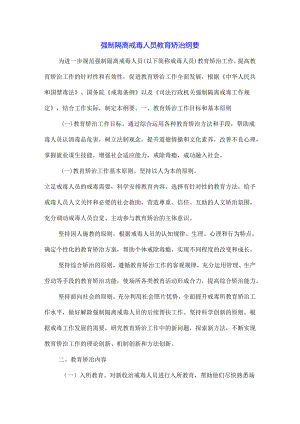 强制隔离戒毒人员教育矫治纲要.docx