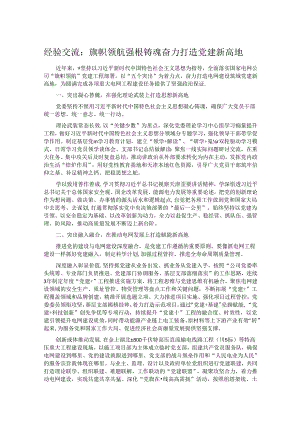 经验交流：旗帜领航 强根铸魂 奋力打造党建新高地.docx