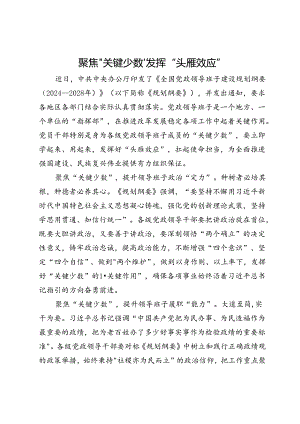 交流发言：聚焦“关键少数”发挥 “头雁效应”.docx