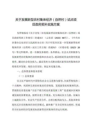 关于发展新型农村集体经济（自然村）试点项目政府奖补实施方案.docx