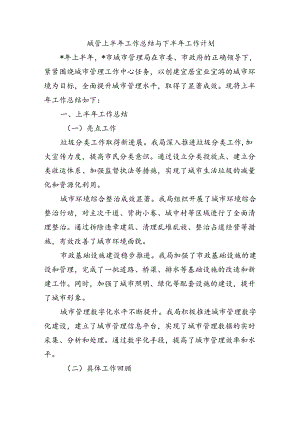 城管上半年工作总结与下半年工作计划.docx