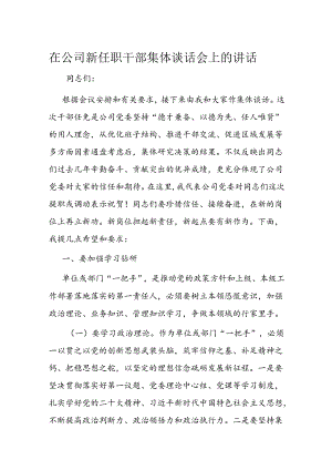 在公司新任职干部集体谈话会上的讲话.docx