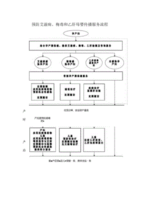 艾、梅、乙、检测服务流程图附件1至9.docx