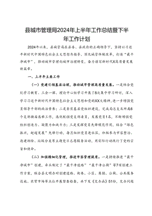 县城市管理局2024年上半年工作总结暨下半年工作计划.docx