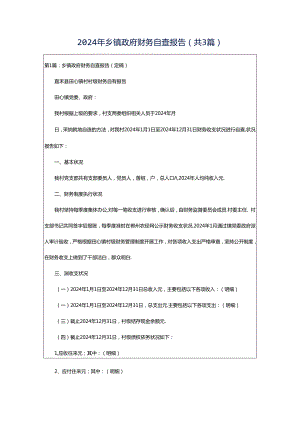 2024年乡镇政府财务自查报告（共3篇）.docx
