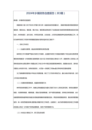 2024年乡镇财务自查报告（共3篇）.docx