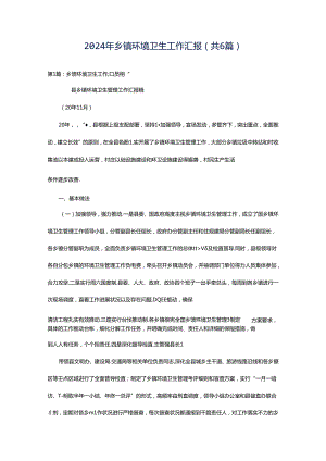 2024年乡镇环境卫生工作汇报（共6篇）.docx