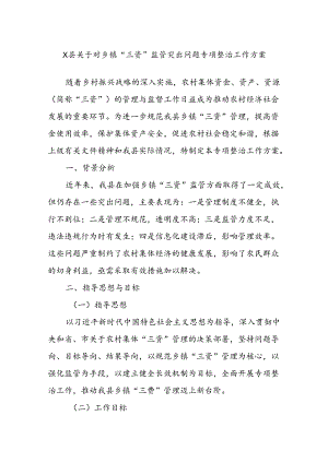 X县关于对乡镇“三资”监管突出问题专项整治工作方案.docx
