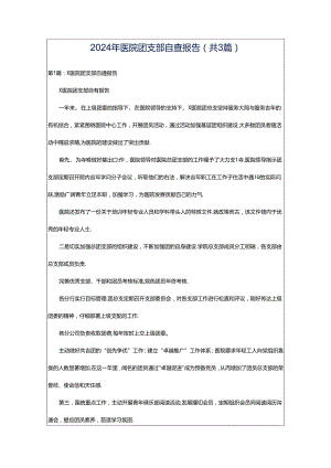 2024年医院团支部自查报告（共3篇）.docx