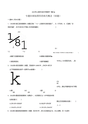 2023年初三一模分类汇编：相似图形的相关概念.docx