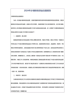 2024年乡镇财政资金自查报告.docx
