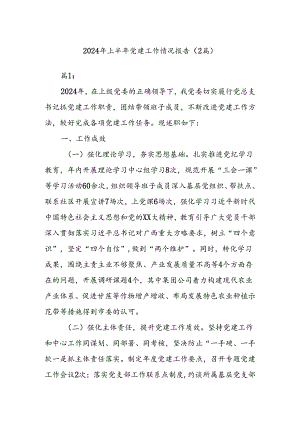 (2篇)2024年上半年党建工作情况报告.docx