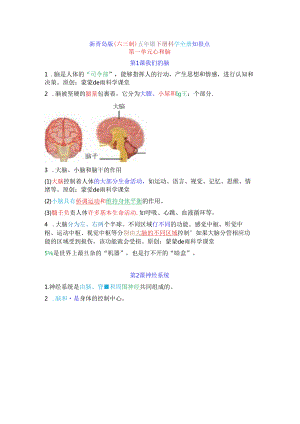 2023青岛版(六三制)五年级科学下册知识点.docx