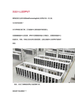 DPU它到底有啥用.docx