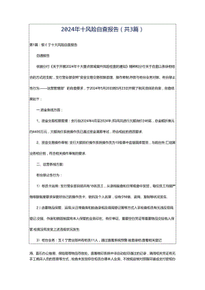 2024年十风险自查报告（共3篇）.docx