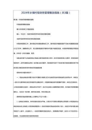 2024年乡镇村级财务管理整改措施（共3篇）.docx