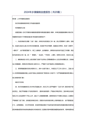 2024年乡镇编制自查报告（共20篇）.docx