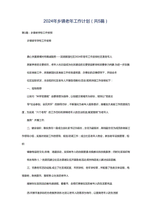 2024年乡镇老年工作计划（共5篇）.docx