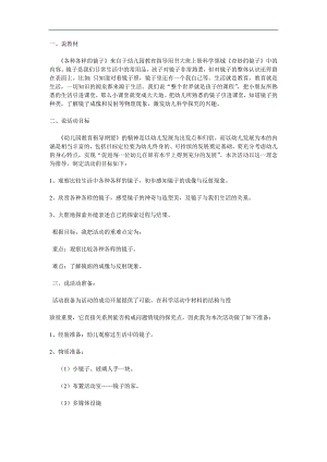 大班科学《各种各样的镜子》PPT课件教案参考教案.docx