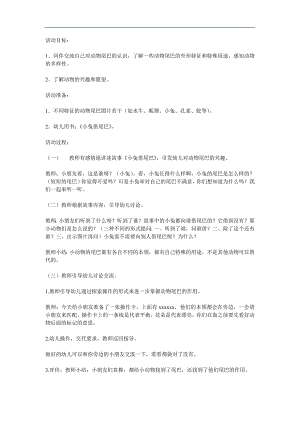 中班《动物的尾巴的作用》PPT课件教案参考教案.docx