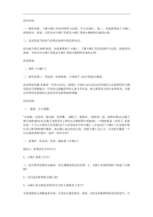 大班故事《小桃仁》PPT课件教案参考教案.docx