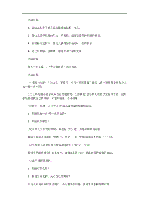 小班安全《保护大眼睛》PPT课件教案参考教案.docx