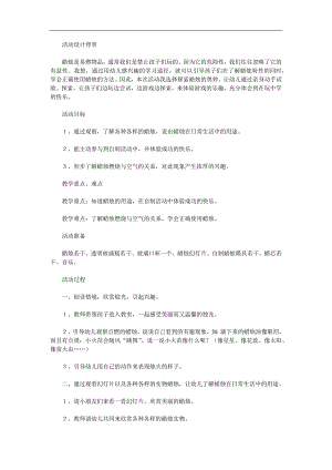 大班科学《有趣的蜡烛》PPT课件教案参考教案.docx