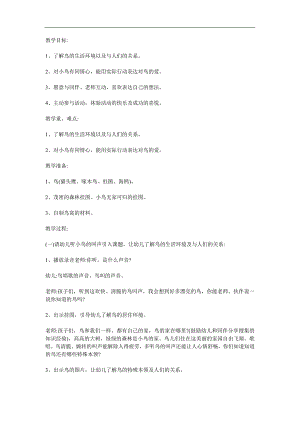 幼儿园故事《小鸟的家》PPT课件教案参考教案.docx