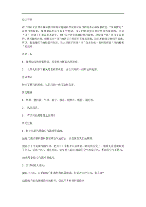 大班科学活动《风的秘密》PPT课件教案参考教案.docx