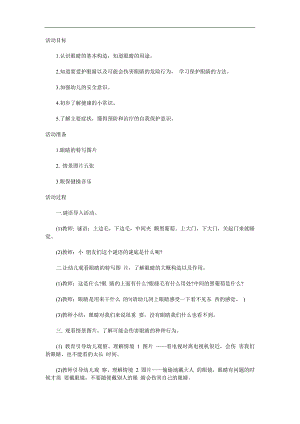 小班活动《保护眼睛》PPT课件教案参考教案.docx