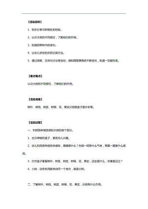 大班科学活动《认识大树》PPT课件教案参考教案.docx