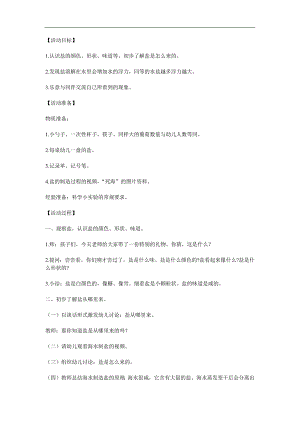 大班科学《奇妙的盐》PPT课件教案参考教案.docx