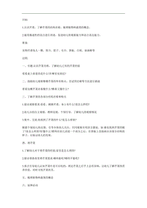 中班科学《认识芹菜》课件PPT教案参考教案.docx