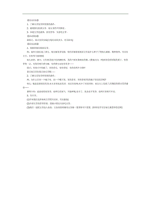 中班健康课件《黄豆芽绿豆芽》PPT课件教案参考教案.docx