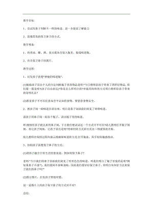 大班健康《气味真正多》PPT课件教案参考教案.docx