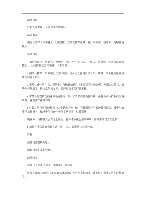 中班语言活动《牵牛花》PPT课件教案参考教案.docx