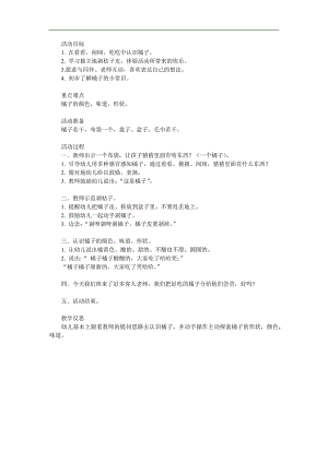 小班科学《认识橘子》PPT课件教案参考教案.docx
