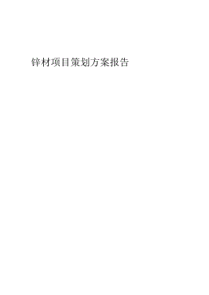2024年锌材项目策划方案报告.docx