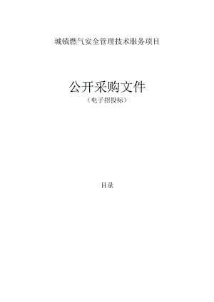 城镇燃气安全管理技术服务项目招标文件.docx