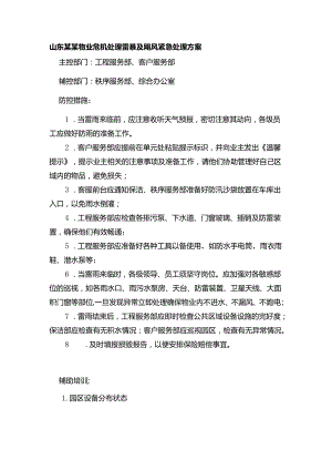 山东某某物业危机处理雷暴及飓风紧急处理方案.docx