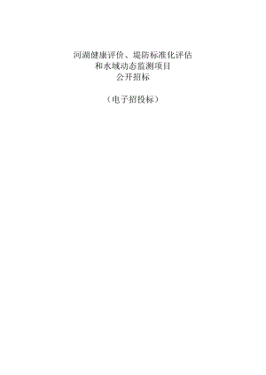 河湖健康评价、堤防标准化评估和水域动态监测项目招标文件.docx