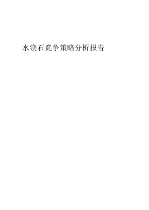 水镁石竞争策略分析报告.docx