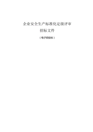 企业安全生产标准化定级评审招标文件.docx